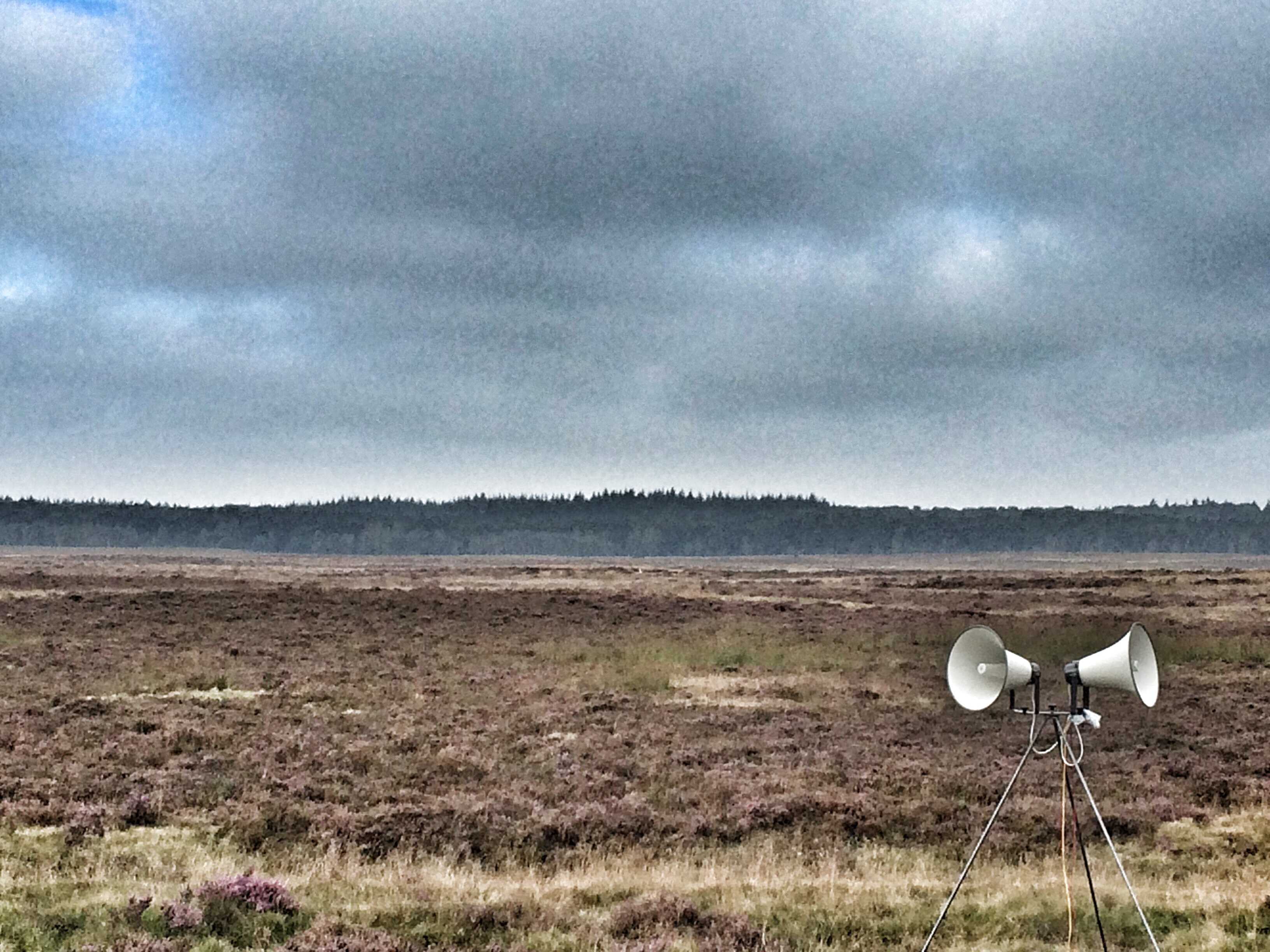 on the Heath near the drop zones