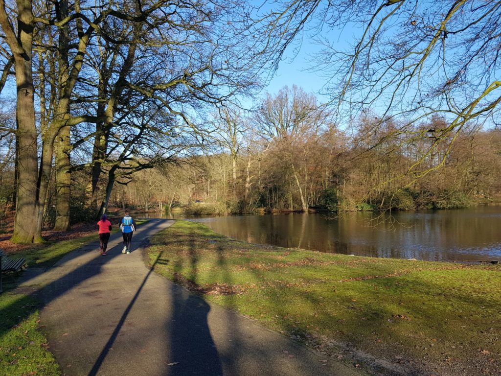 testrun sonsbeek parkrun