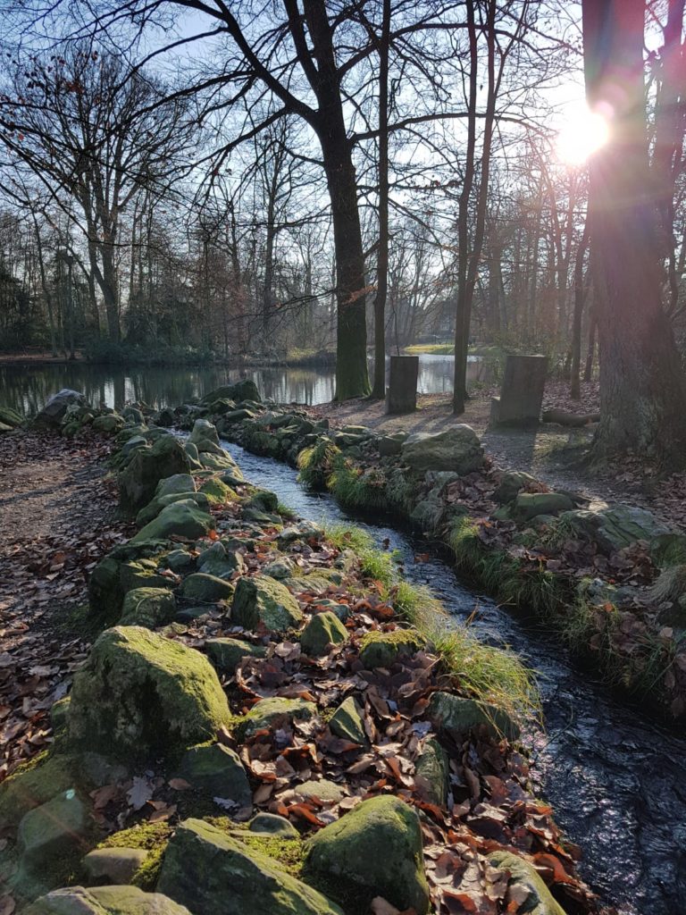 parkrun sonsbeek